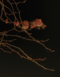 Félreértett évszak