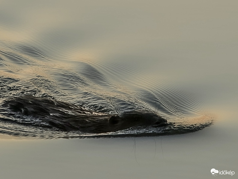 Örömteli találkozás 