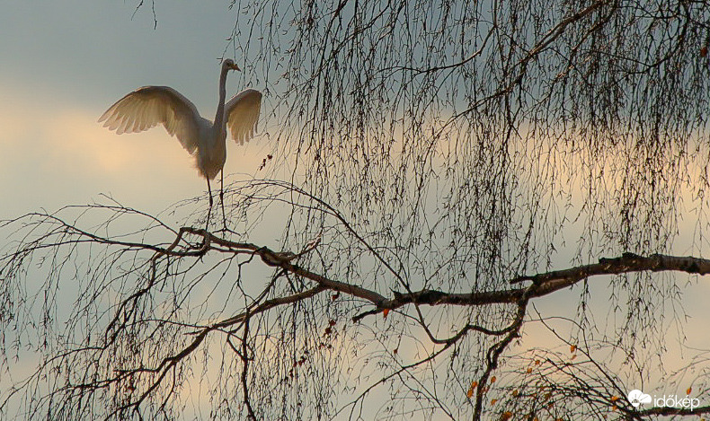 Juhuuuuu, újra süt a Nap 