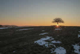 Vackor a Naplementében
