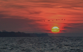 Leültetett a látvány 