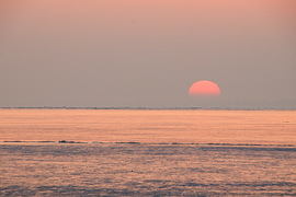 Rózsaszín álom 2.