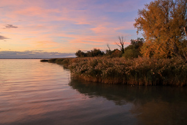 Festői reggelem