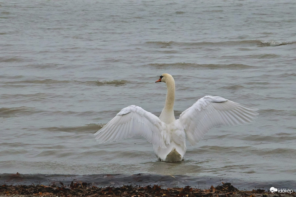 Tárd ki a karod, és engedd, hogy a világ megöleljen.