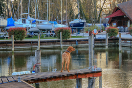 Keszthely-i merengő