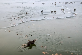 Hello srácok, megjöttem!