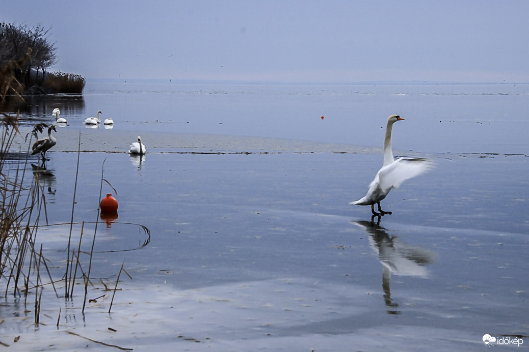 Jég hátán a karmester