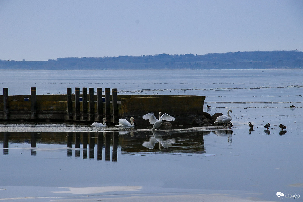 Gyere, élvezzük a jeget, amíg van!