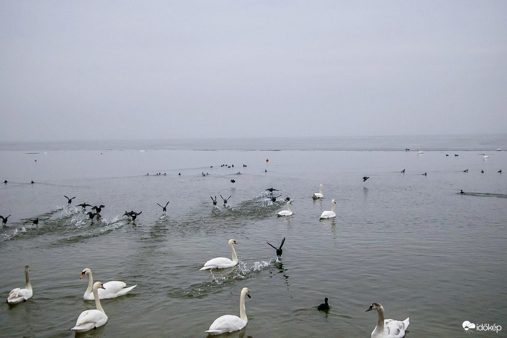 Felszántják a vizet 