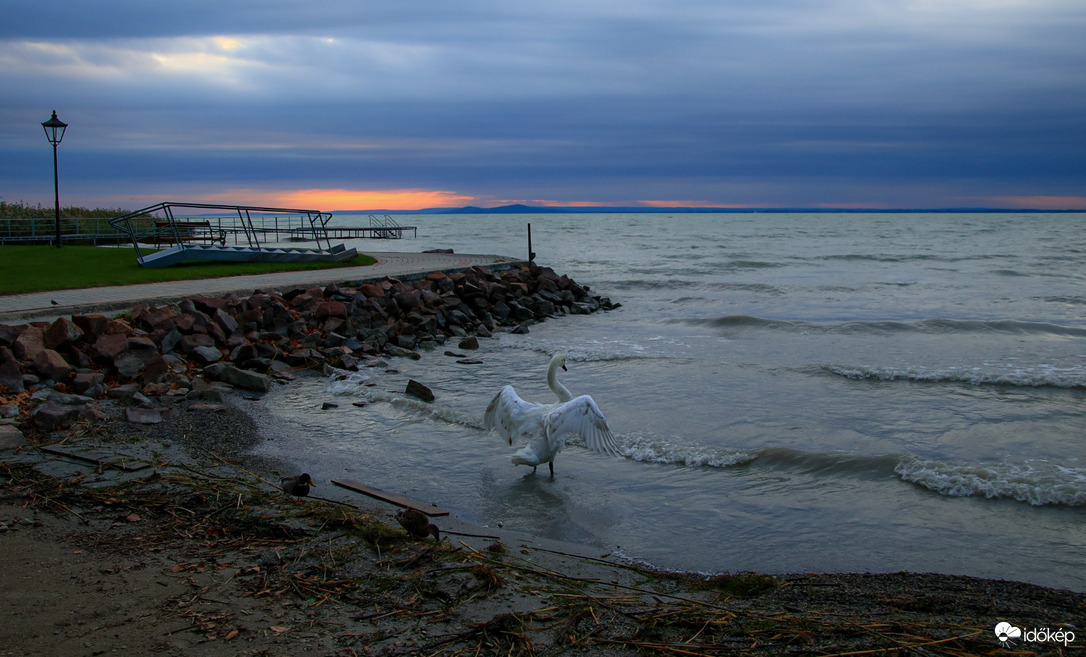 Szombat reggeli torna
