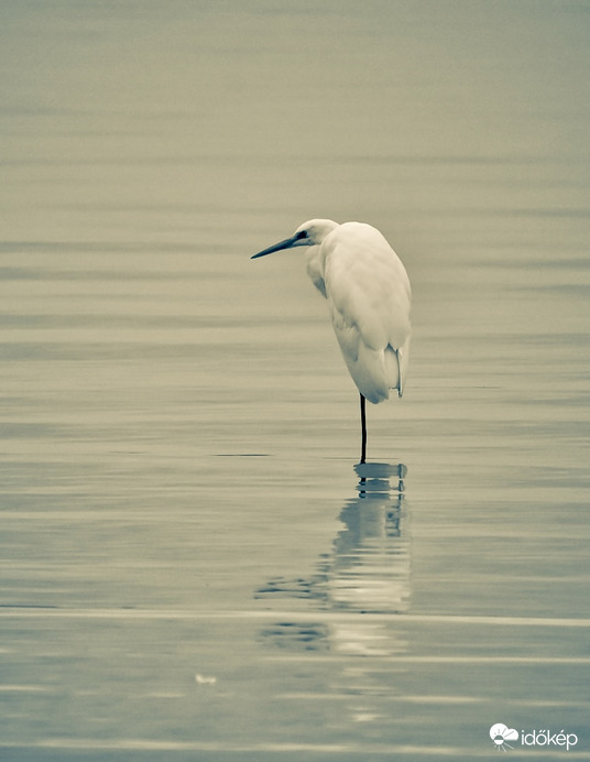 Fél lábon is kibírjuk, míg kisüt a Nap!