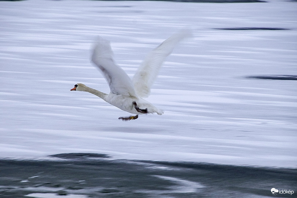 Gyorsan futok egy kört