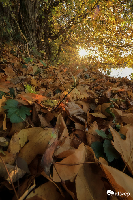 Ugye, hogy csodás az őszi avar?