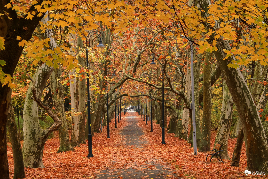 Vörös szőnyeg vezet a Balatonhoz