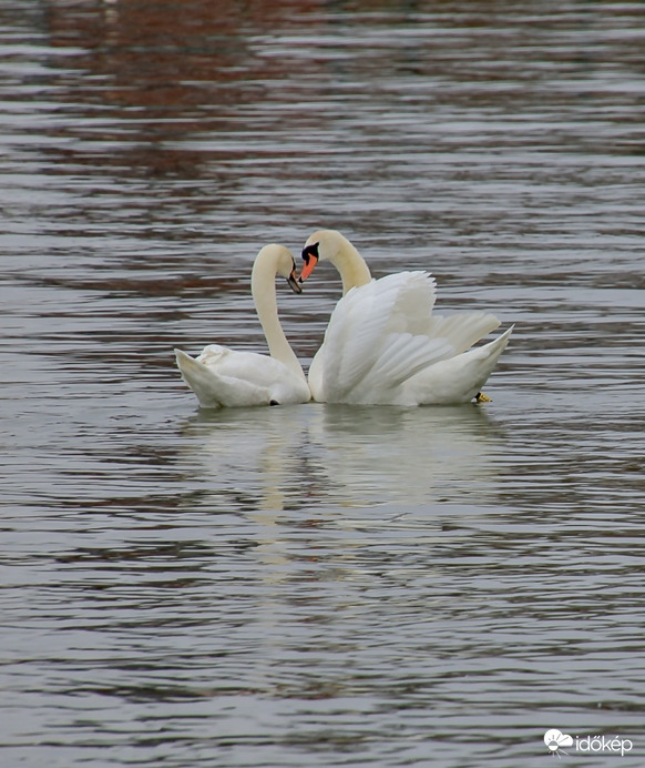 Csend, hideg, összetartozás 