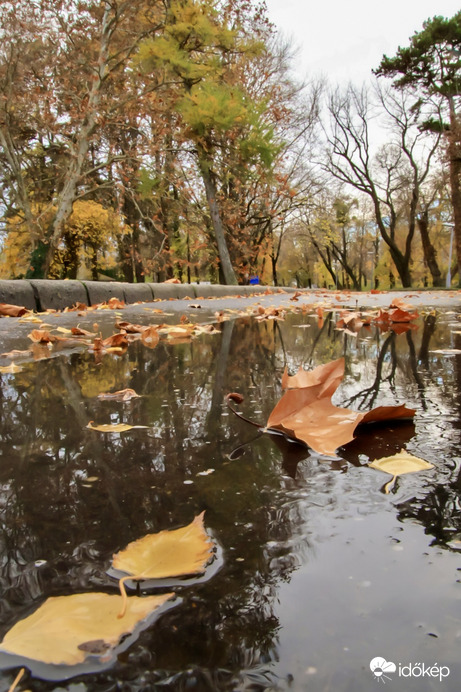 Eső után pocsolya..