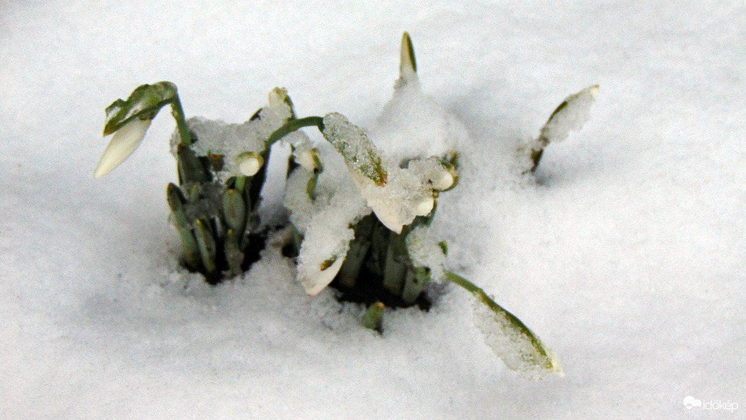 01.19