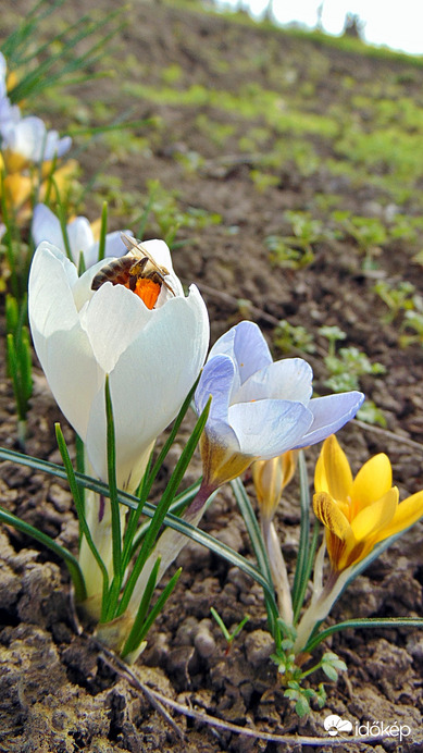 3 különböző méret 