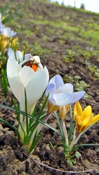 3 különböző méret 