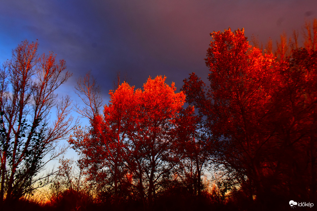 Felkelő nap fényében