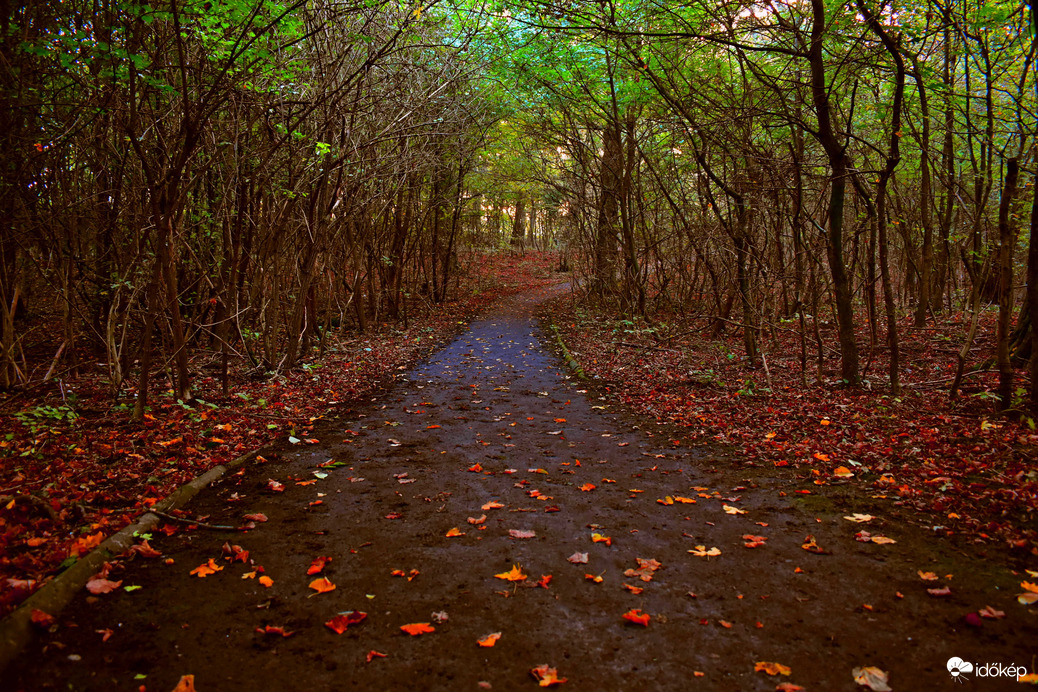 Út az őszbe