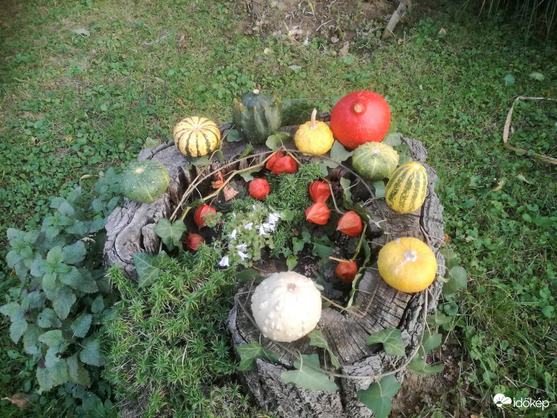 Somogyjád egyik kertjében