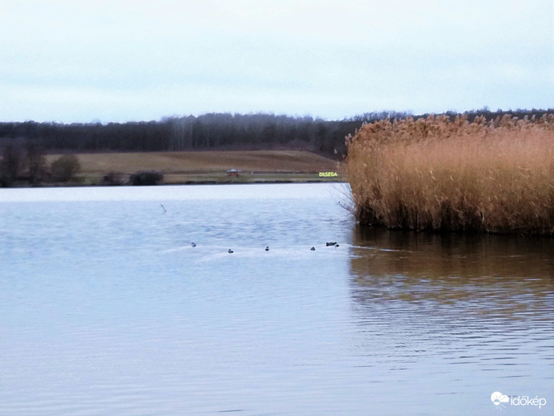 Kaposváron a Deseda 