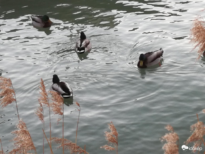 Fonyódon ma napsütésben