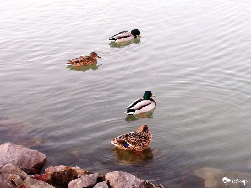 2 x 2 = párosan szép az élet