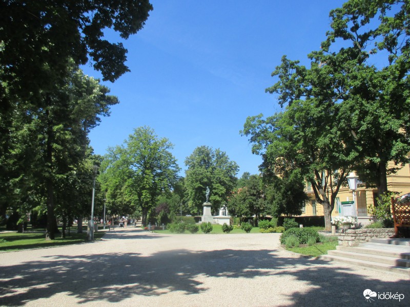 Balatonfüred szép fái 