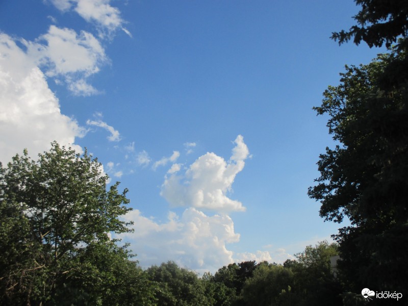 Égi forgalomirányító