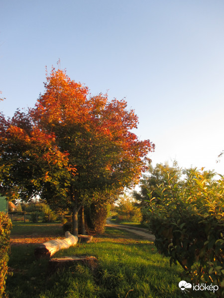 Az út kezdete az őszbe