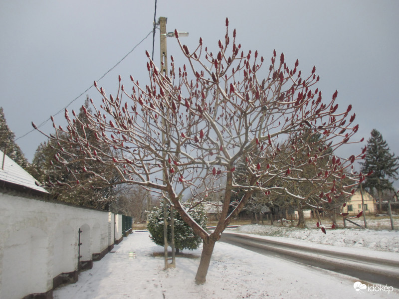 Holle anyó megrázta a dunyháját