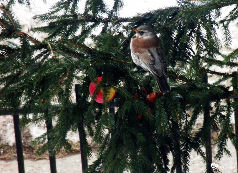 Egy kis szívmelengető a hideg télben