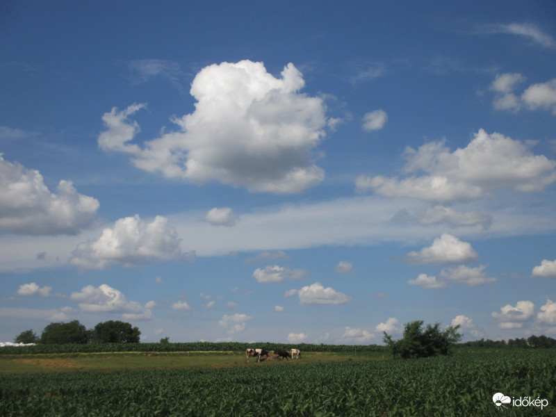 Somogyjád felett ma délután