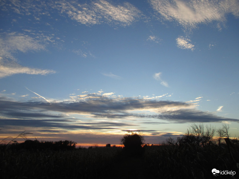 Az ég felhői nekem olyanok, mint a föld virágai