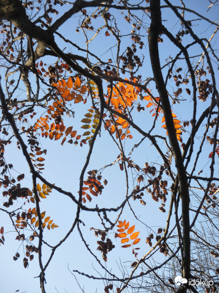 Somogyjád felett ma délután