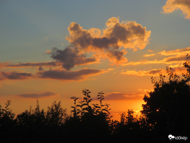 Kutyuska - futtában