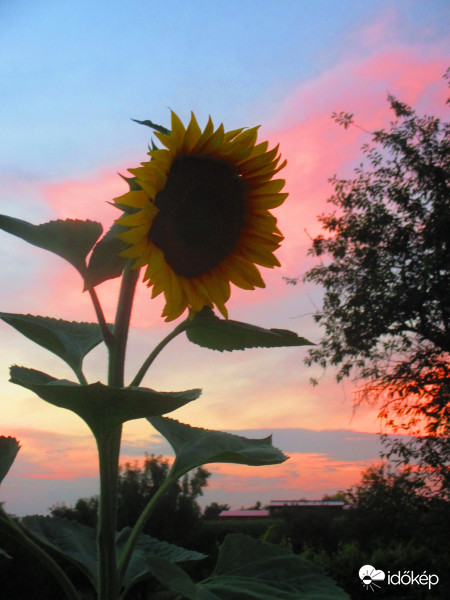 Keleti égbolt naplementekor