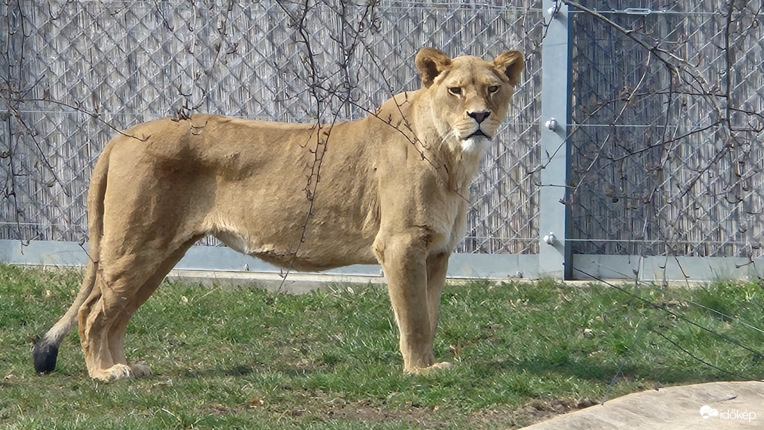 Budapest XXII.ker - Budatétény