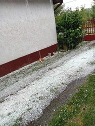 Pély