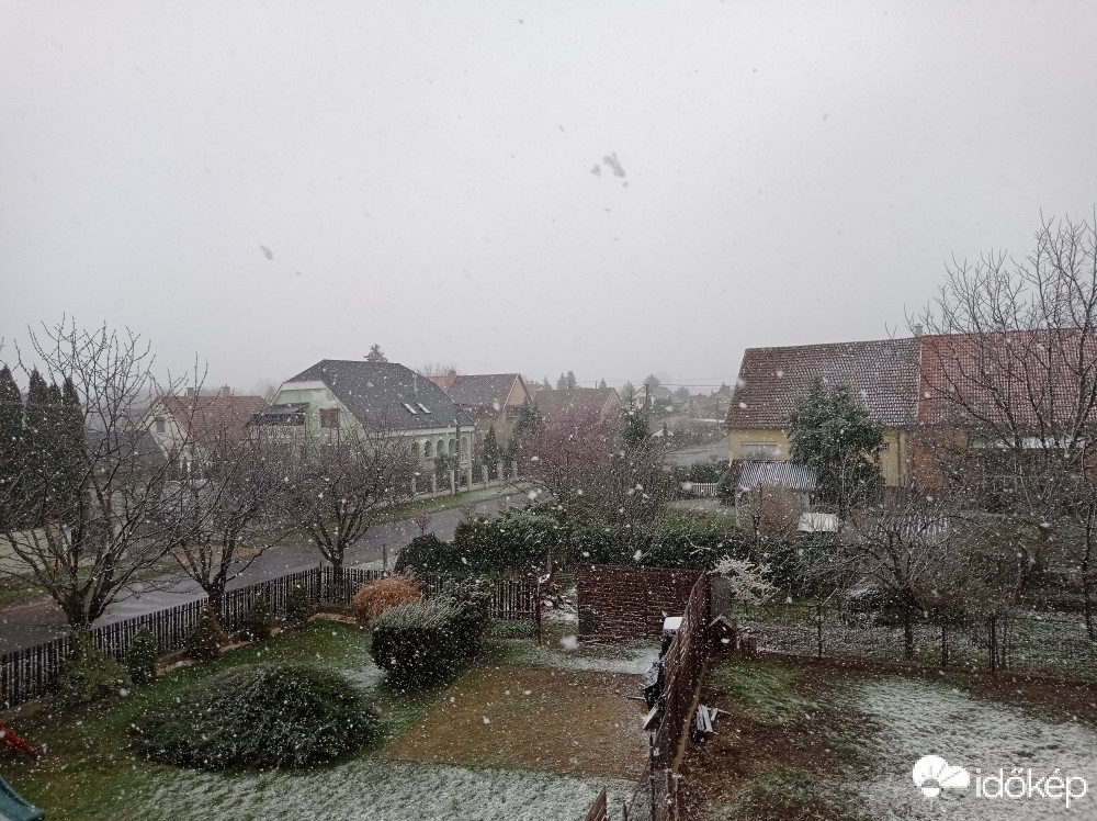 Nyíregyháza