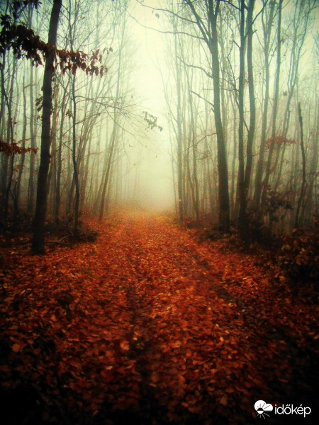 Kissé ködös napunk volt