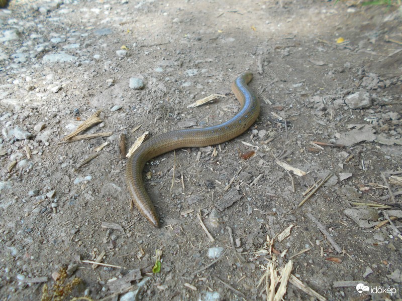 A Hór völgyében tekergett