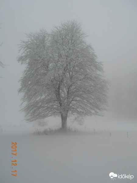 Bánkút felé a ködben