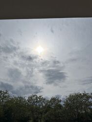 Salföld