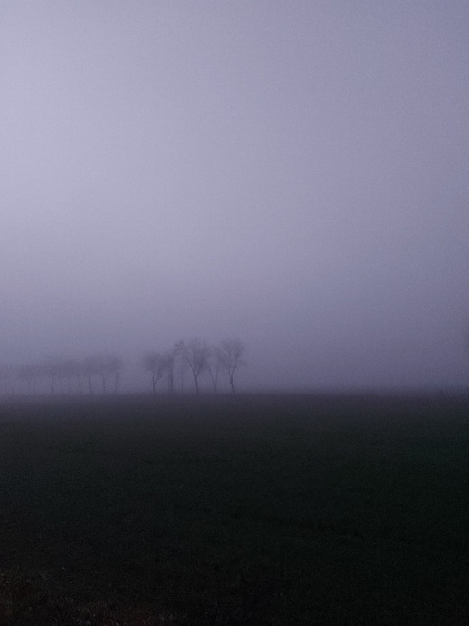 Tiszaszőlős