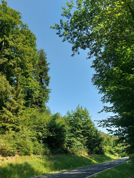 Krommenthal