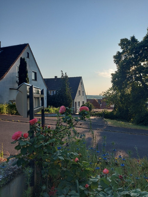 Waldzell