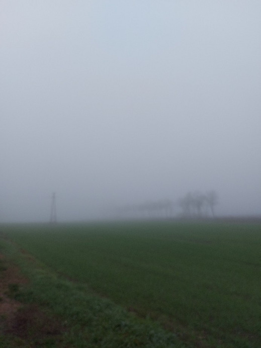 Tiszaszőlős